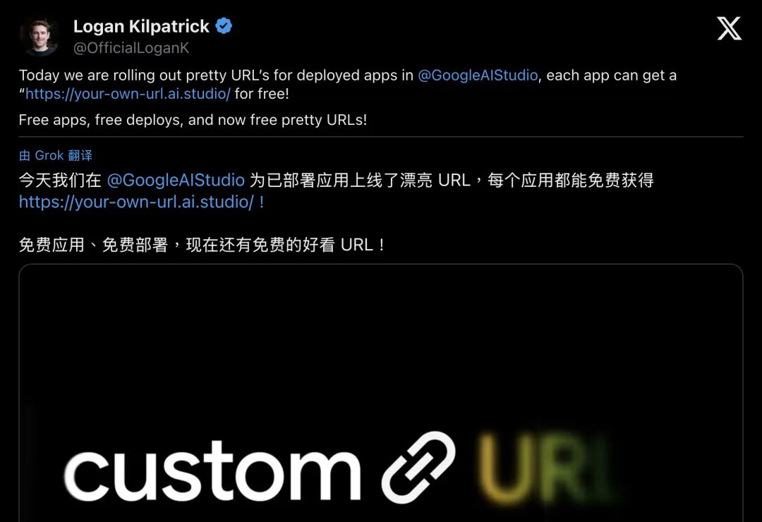 Google AI Studio Custom URLs